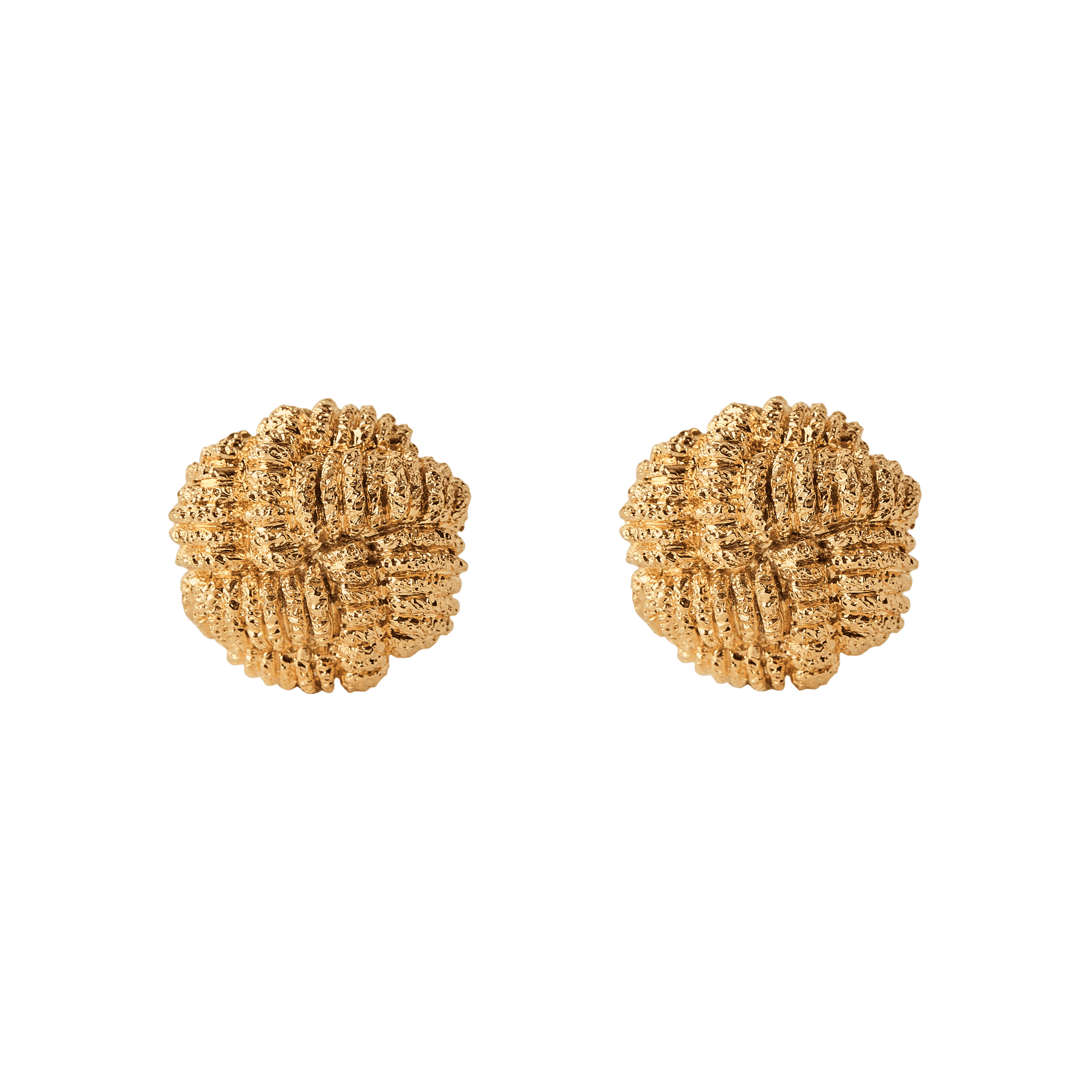 Paola Sighinolfi Silvia half hoop earrings - Gold